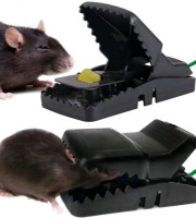 Premium Reusable Mouse Trap (1 Pcs)